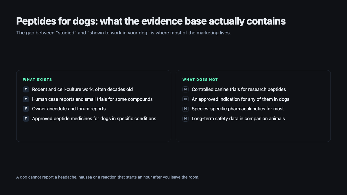 Peptides for dogs: what the evidence base contains and what it does not, including no controlled canine trials