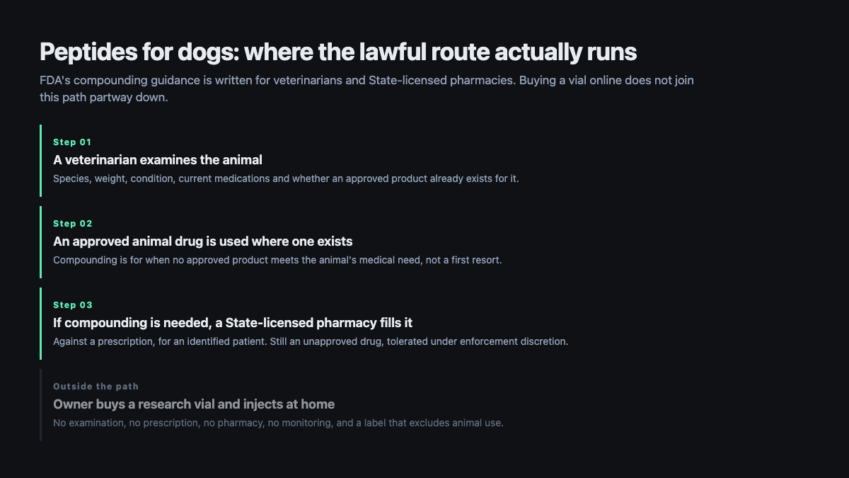 Peptides for dogs: the lawful route from veterinary exam to a State-licensed compounding pharmacy