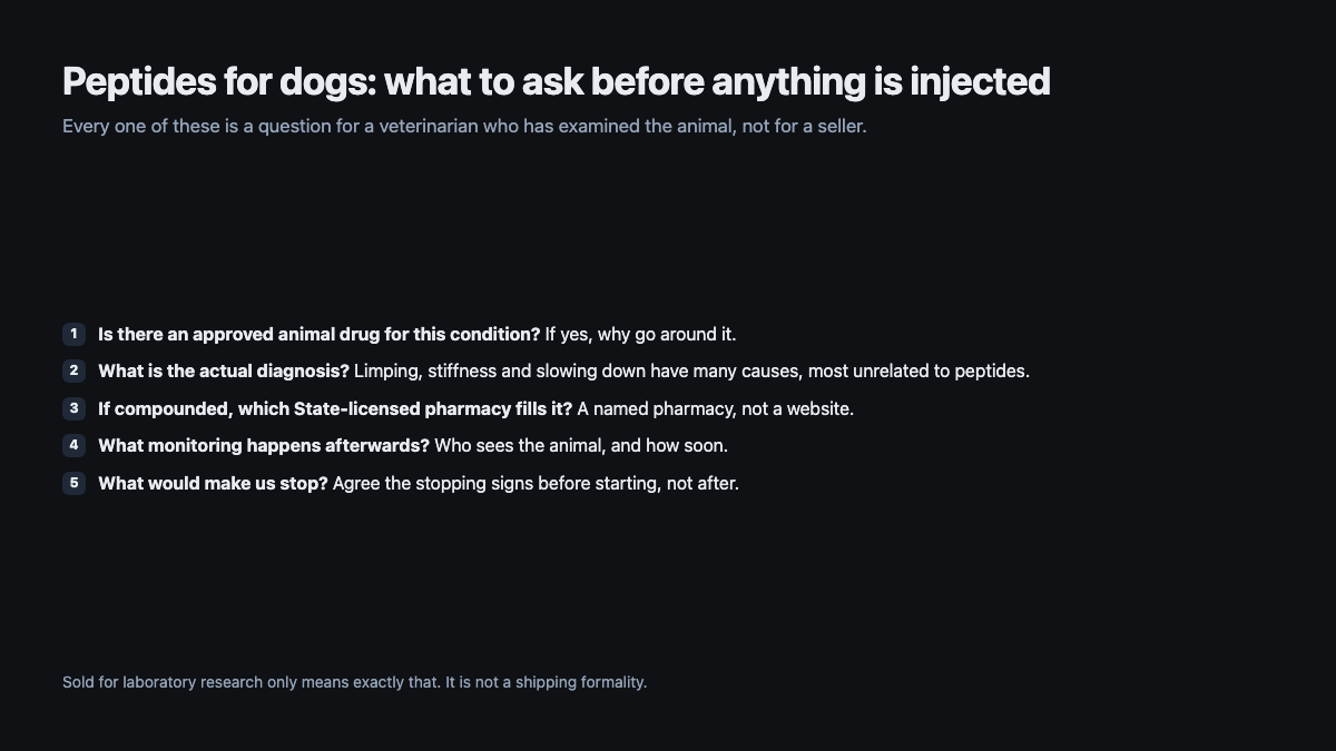 Peptides for dogs: five questions to ask a veterinarian before anything is injected
