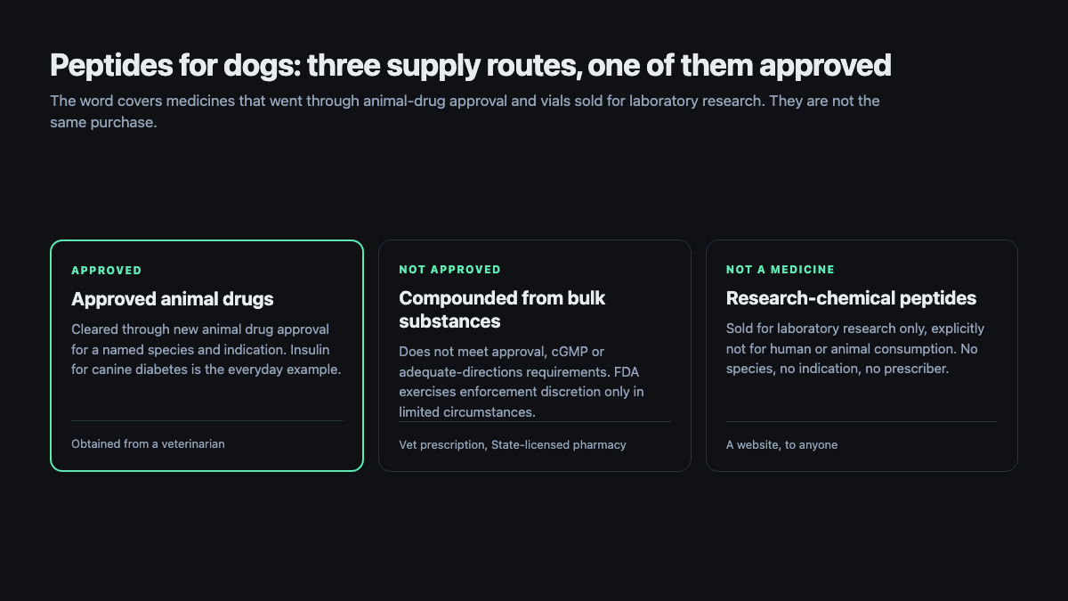 Peptides for dogs: the three supply routes compared, with only approved animal drugs cleared for use